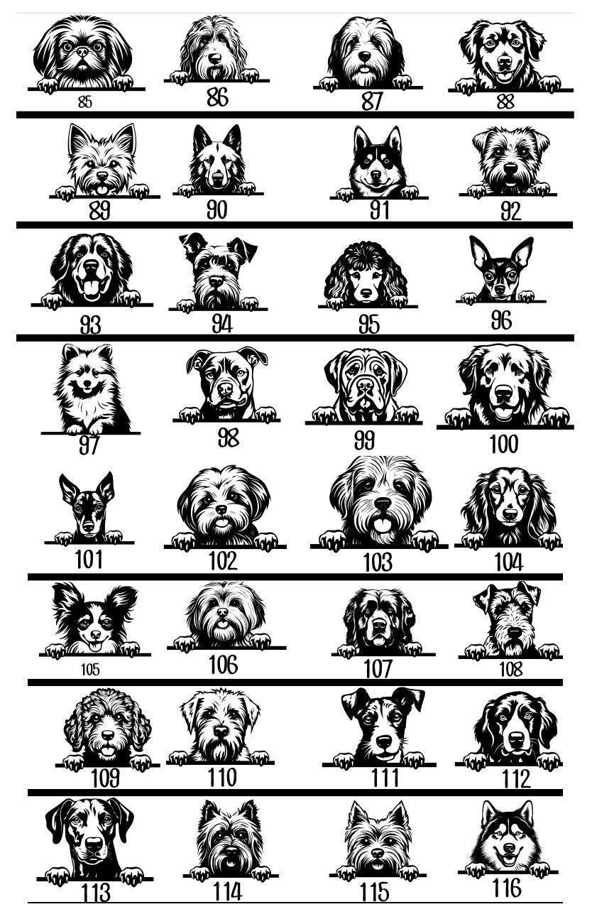 T-shirt personnalisé avec photo de chien, portrait d'animal de compagnie, cadeau pour hommes et femmes, vêtements pour amoureux des chiens