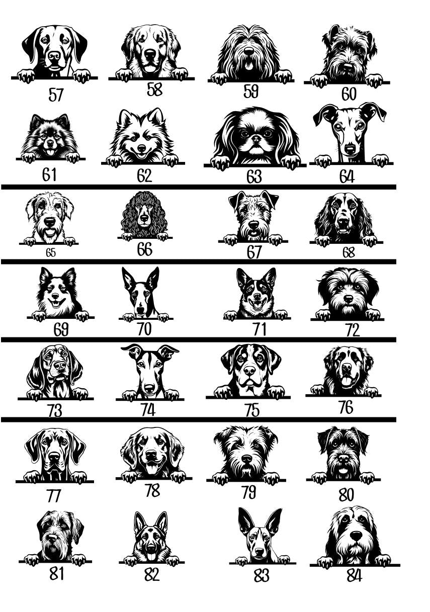 T-shirt personnalisé avec photo de chien, portrait d'animal de compagnie, cadeau pour hommes et femmes, vêtements pour amoureux des chiens
